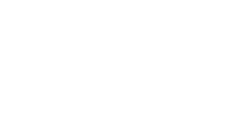 Division Fabarm Professional STF/12: MODULAIRE, PRECIS, PUISSANT ET ADAPTE A TOUTES LES SITUATIONS!